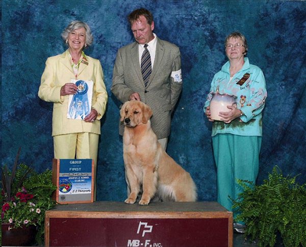 goodlife goldens indie group1